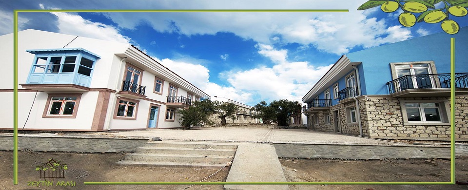 Zeytinarası - Ayvalık